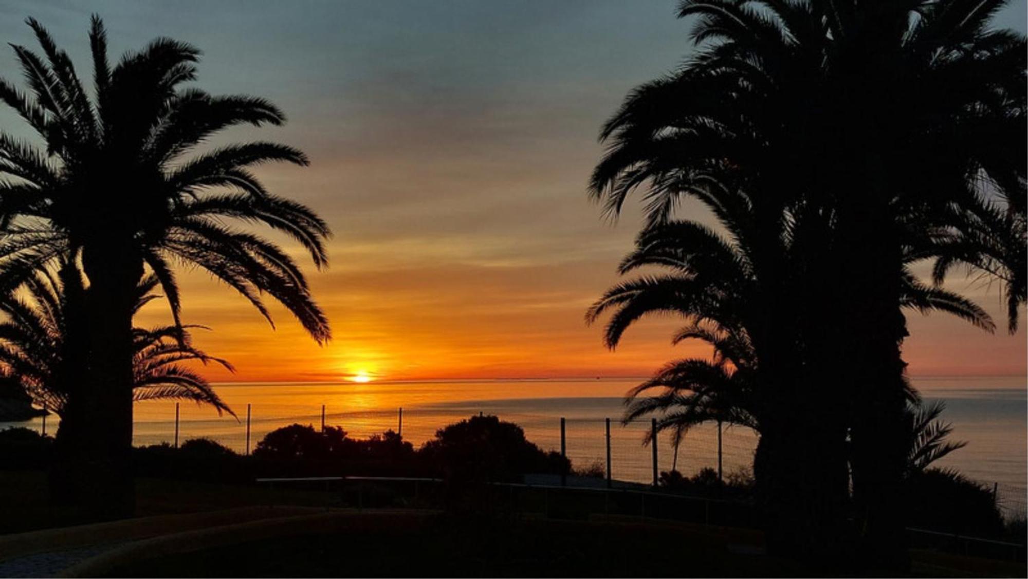 Bungalow Alkabir Playa El Campello Eksteriør billede